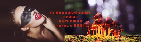 круглые Абаза