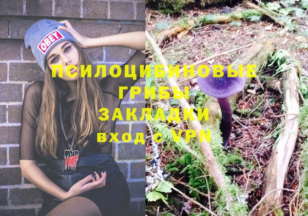 круглые Абаза