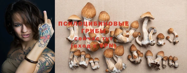круглые Абаза