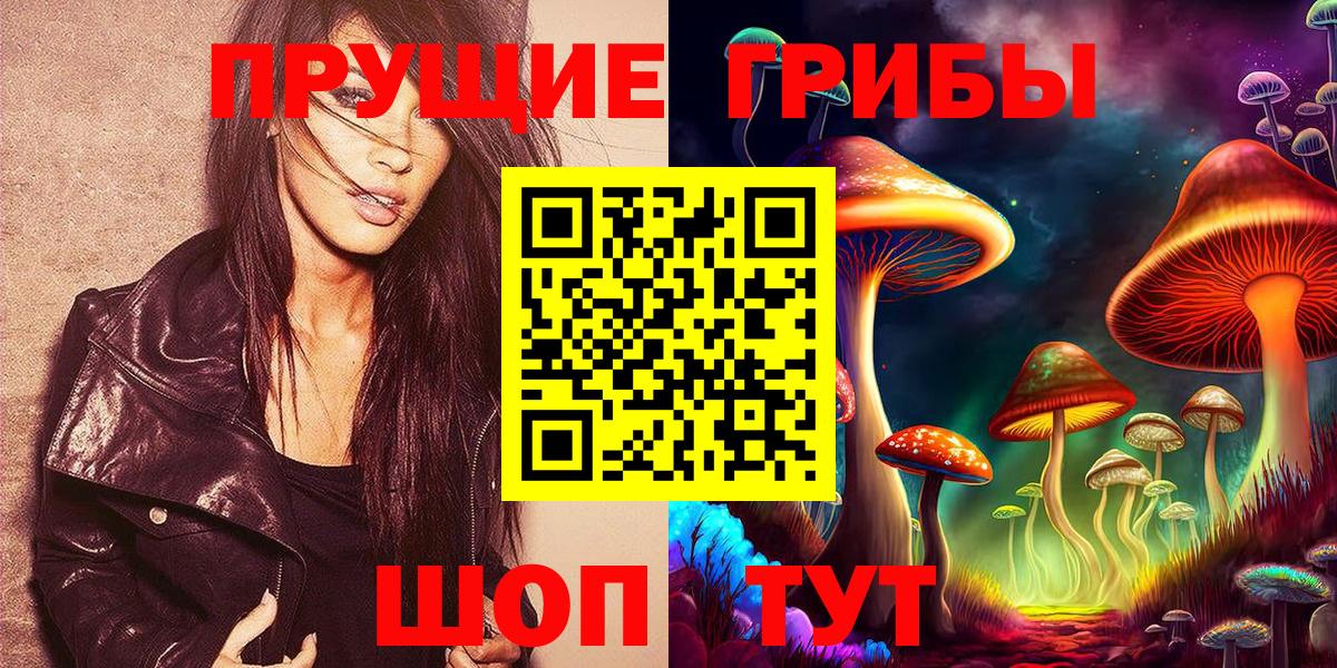 дарнет шоп  Псилоцибиновые грибы GOLDEN TEACHER  Вход с VPN  Донецк 