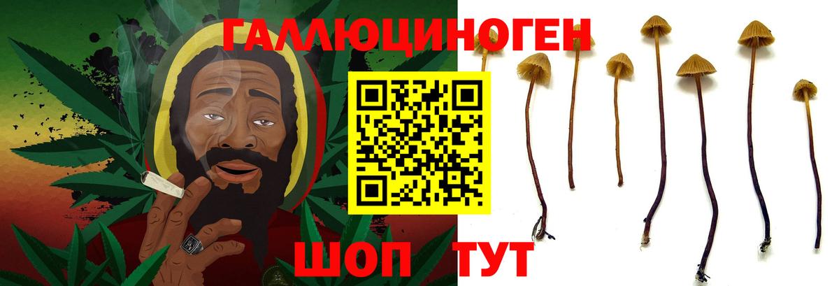 Галлюциногенные грибы Cubensis Донецк